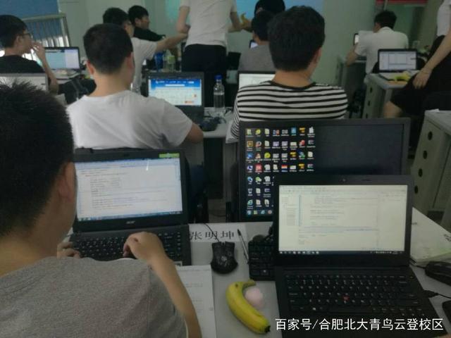 汽車維修與計算機軟件開發 職業前景的深度對比分析