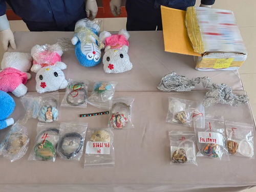 海關(guān)查獲人體組織制品玩具 教學模型暗藏人骨成分
